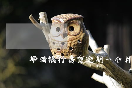 邮储银行房贷逾期一个月 邮储银行房贷逾期一个月