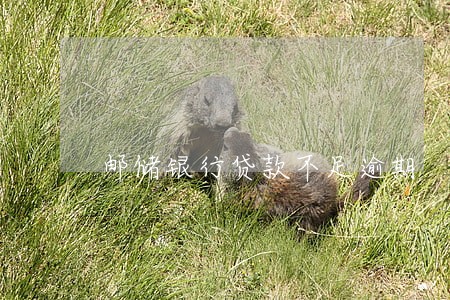 邮储银行贷款不足逾期 邮储银行贷款不足逾期