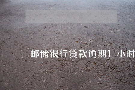邮储银行贷款逾期1小时 邮储银行贷款逾期1小时