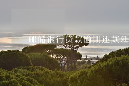 邮储银行贷款逾期还款延长十年