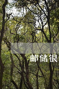 邮储银行逾期一天上征信不