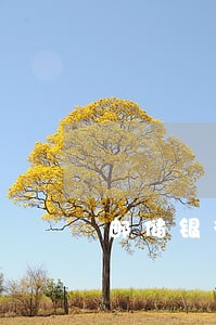邮储银行逾期一天会上征信吗 邮储银行逾期一天会上征信吗