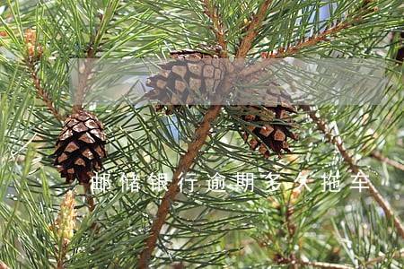 邮储银行逾期多久拖车