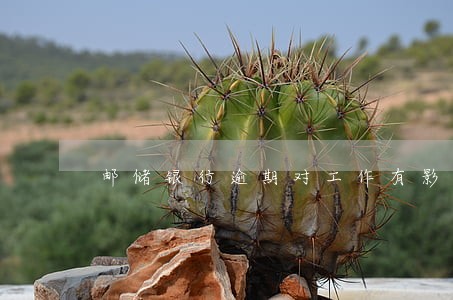 邮储银行逾期对工作有影响吗 邮储银行逾期对工作有影响吗