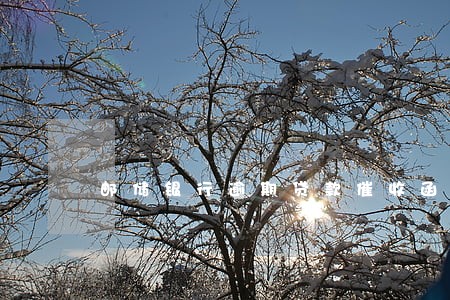 邮储银行逾期贷款催收函