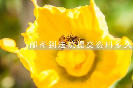 邮寄到法院提交资料多久有结果 邮寄到法院提交资料多久有结果