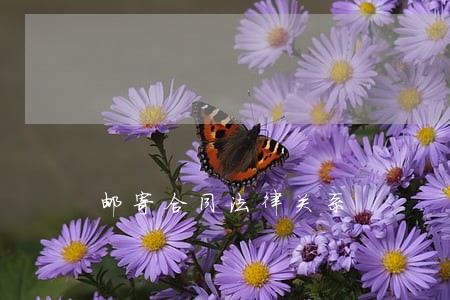 邮寄合同法律关系