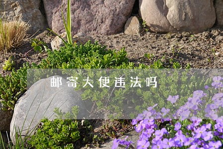 邮寄大便违法吗 邮寄大便违法吗