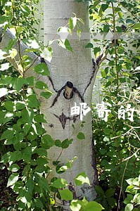 邮寄的材料法院的人没收到怎么办 邮寄的材料法院的人没收到怎么办