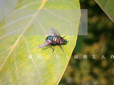 邮局信用卡逾期怎么办 邮局信用卡逾期怎么办