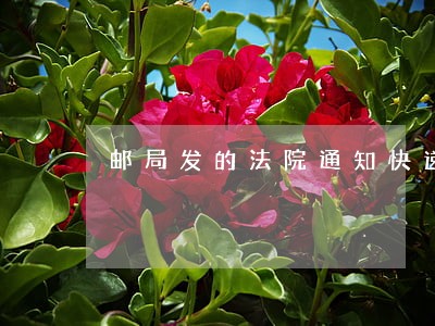 邮局发的法院通知快递 邮局发的法院通知快递
