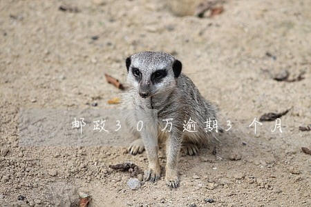邮政30万逾期3个月 邮政30万逾期3个月