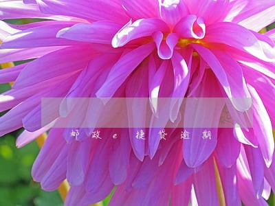 邮政e捷贷逾期