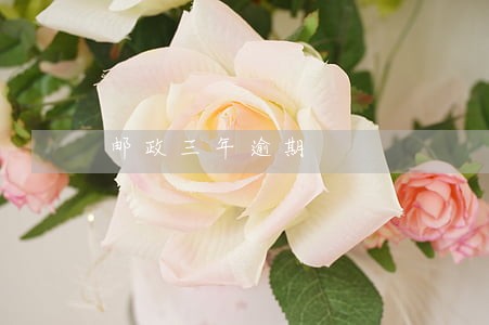 邮政三年逾期 邮政三年逾期