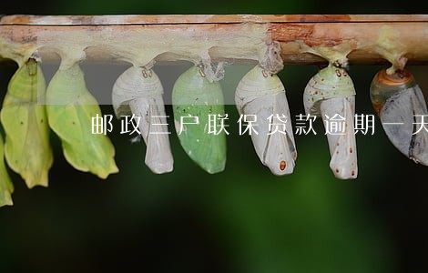 邮政三户联保贷款逾期一天 邮政三户联保贷款逾期一天