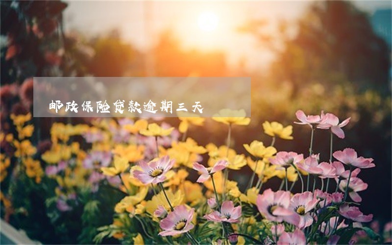 邮政保险贷款逾期三天