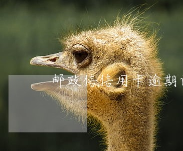 邮政信信用卡逾期两次怎么办 邮政信信用卡逾期两次怎么办