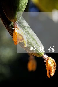 邮政信用卡3万逾期 邮政信用卡3万逾期