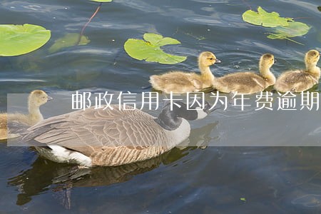 邮政信用卡因为年费逾期 邮政信用卡因为年费逾期