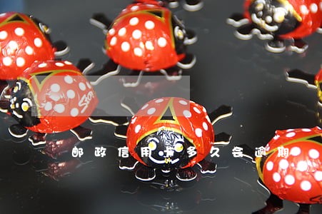 邮政信用卡多久会逾期 邮政信用卡多久会逾期