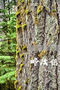 邮政信用卡多少天算逾期 邮政信用卡多少天算逾期