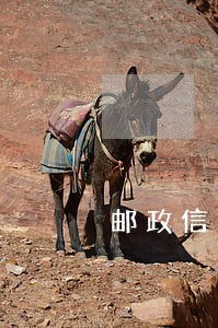 邮政信用卡当天还款算逾期吗 邮政信用卡当天还款算逾期吗