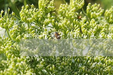 邮政信用卡循环利息是逾期吗 邮政信用卡循环利息是逾期吗