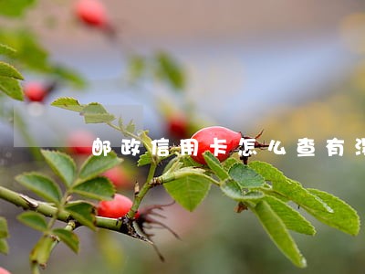 邮政信用卡怎么查有没有逾期 邮政信用卡怎么查有没有逾期