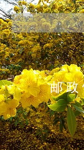 邮政信用卡提现逾期怎么算 邮政信用卡提现逾期怎么算