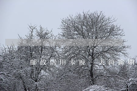 邮政信用卡晚一天算逾期 邮政信用卡晚一天算逾期