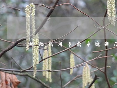 邮政信用卡最多逾期几天 邮政信用卡最多逾期几天