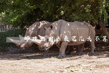 邮政信用卡最迟几天不算逾期6 邮政信用卡最迟几天不算逾期6