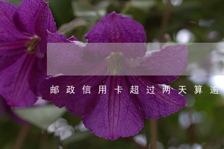 邮政信用卡超过两天算逾期吗 邮政信用卡超过两天算逾期吗