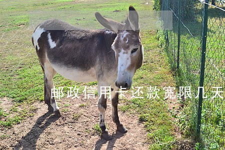 邮政信用卡还款宽限几天不算逾期 邮政信用卡还款宽限几天不算逾期