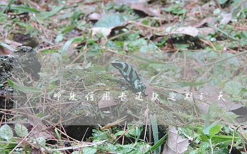 邮政信用卡还款逾期5天
