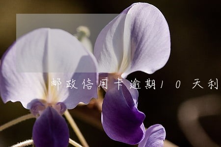 邮政信用卡逾期10天利息 邮政信用卡逾期10天利息
