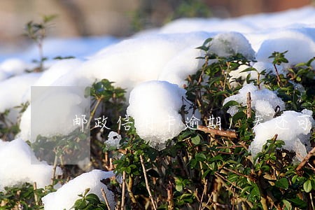 邮政信用卡逾期1天还可以用 邮政信用卡逾期1天还可以用