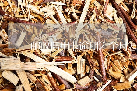邮政信用卡逾期2个月怎么办