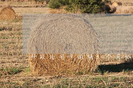 邮政信用卡逾期3个月协商还本金 邮政信用卡逾期3个月协商还本金
