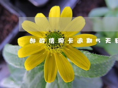 邮政信用卡逾期5天利息多少 邮政信用卡逾期5天利息多少