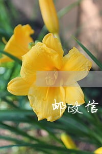 邮政信用卡逾期6天扣了500 邮政信用卡逾期6天扣了500