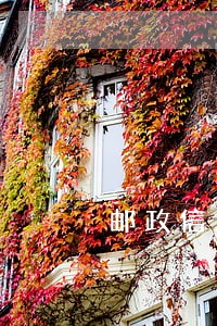 邮政信用卡逾期9500怎么办
