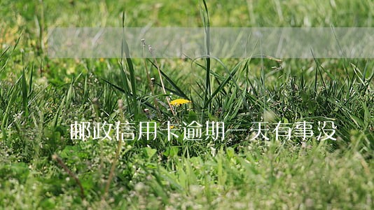 邮政信用卡逾期一天有事没