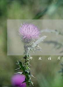 邮政信用卡逾期一次一个月