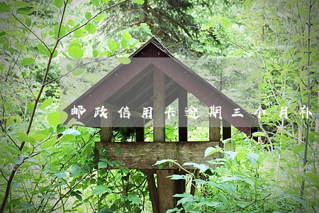 邮政信用卡逾期三个月补救
