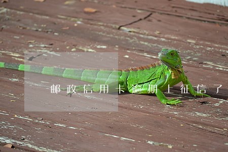 邮政信用卡逾期上征信了怎么办