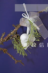 邮政信用卡逾期不减免