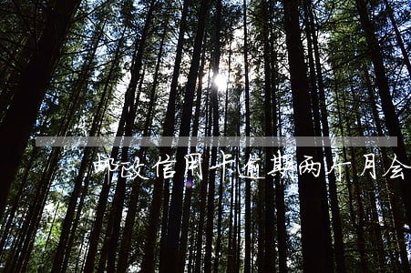 邮政信用卡逾期两个月会封卡吗 邮政信用卡逾期两个月会封卡吗
