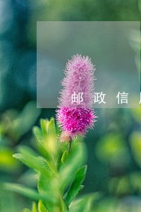 邮政信用卡逾期两个月有什么后果