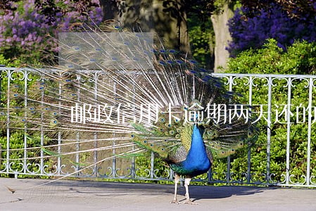 邮政信用卡逾期两天还的 邮政信用卡逾期两天还的